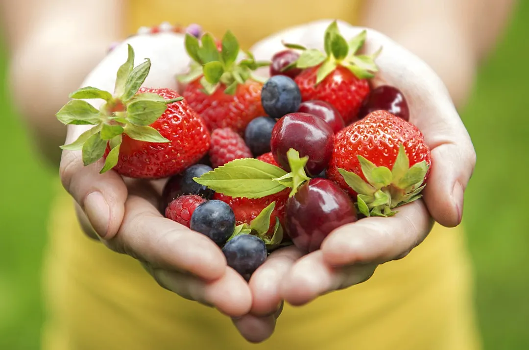 Nutrition And Your Health